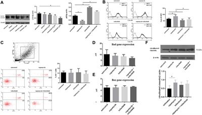 Tofacitinib Decreases Autophagy of Fibroblast-Like Synoviocytes From Rheumatoid Arthritis Patients